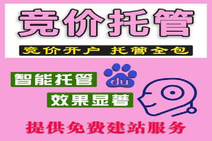 精准投放，SEM托管案例展示企业蜕变之路